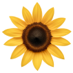 Sunflower Logo